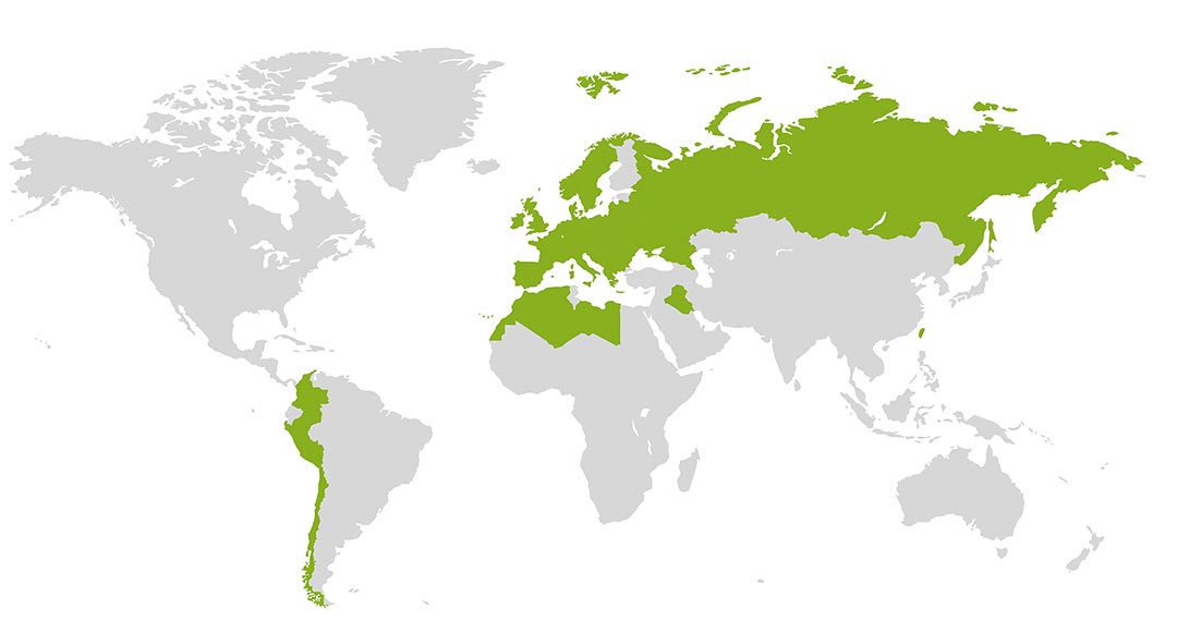 mapa-tesy